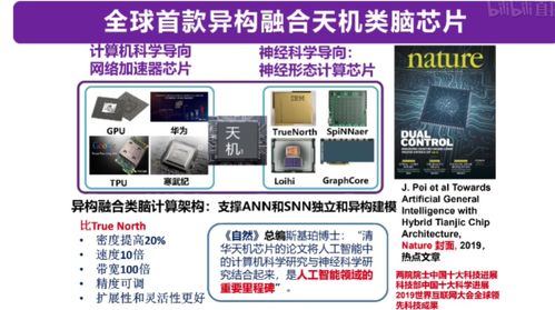 從類腦計算到機器學習 四大知名AI教授線上分享干貨，引領計算機軟硬件開發新趨勢